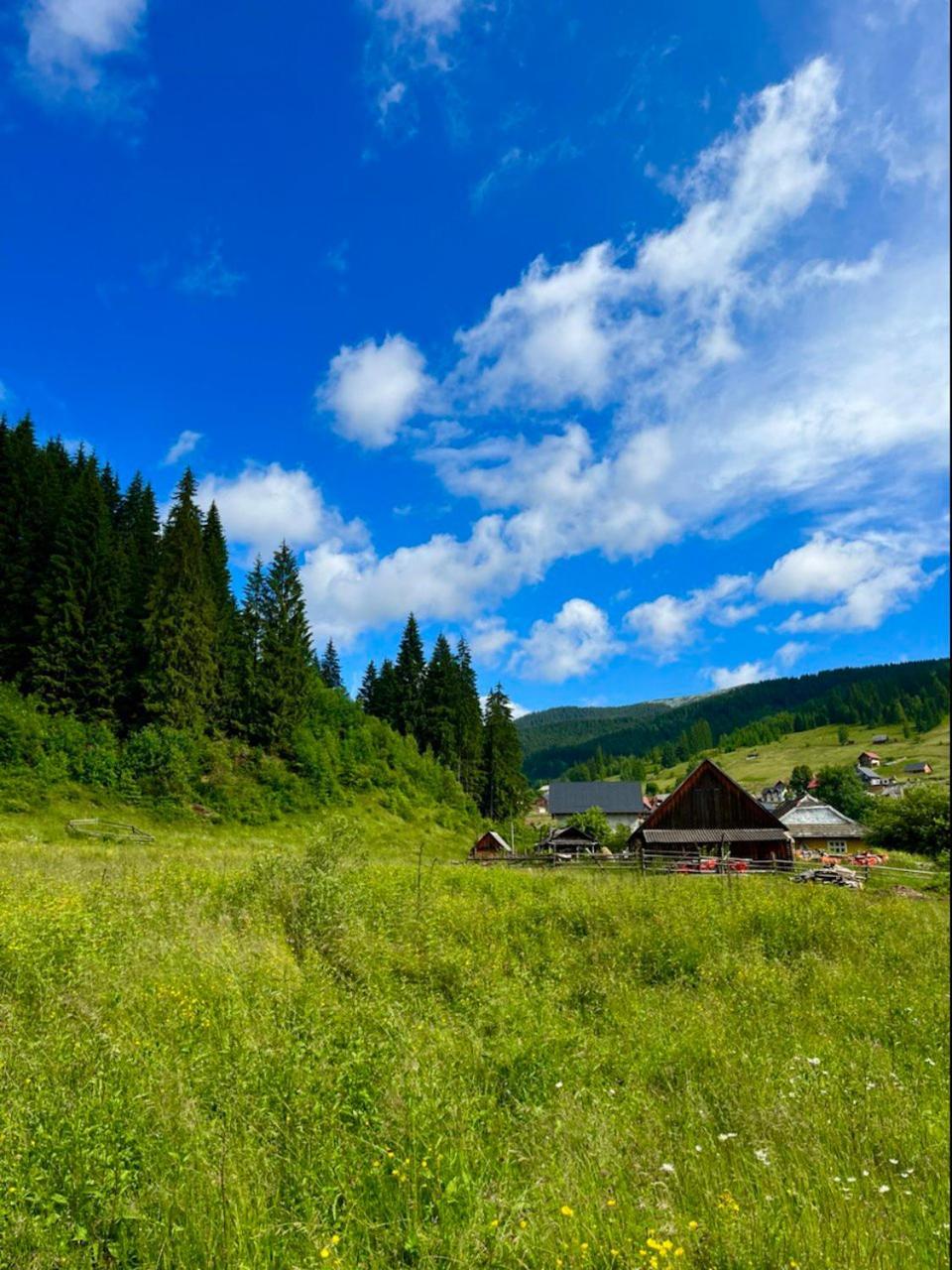 Girskiy Prutets Boekovel Buitenkant foto